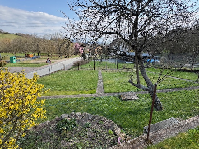 Ausschnitt vom Grundstück