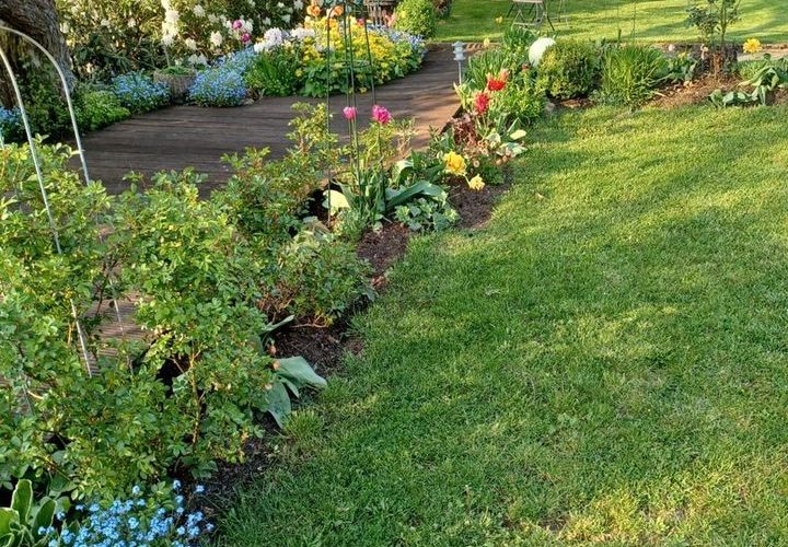 Detailaufnahme vom Garten