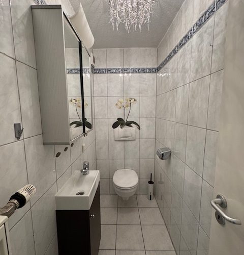 Gästetoilette imOG