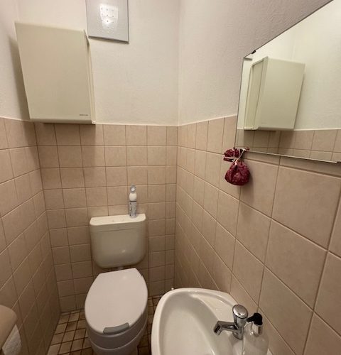 separate Toilette mit WC und Waschbecken