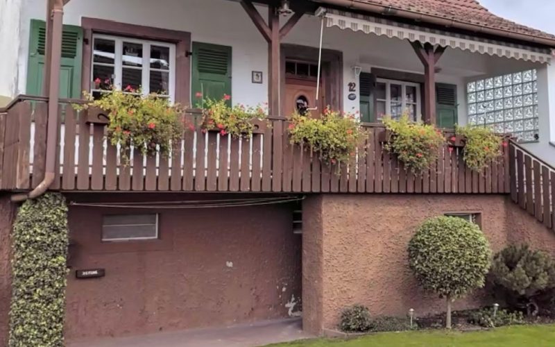 Ein Bild vom Sommer letzten Jahres