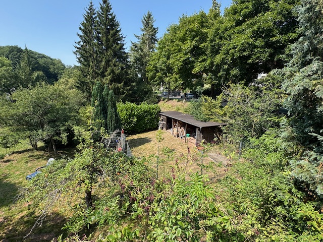 Ausschnitt vom Garten mit Zwinger