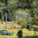 Ausschnitt vom eingewachsenen Grundstück