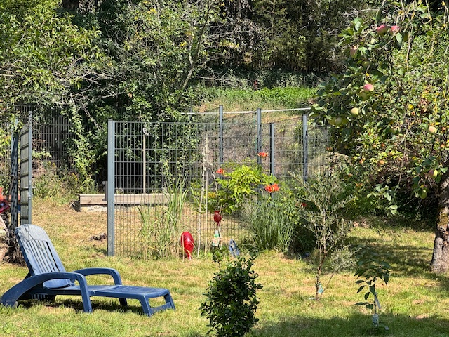 Ausschnitt vom eingewachsenen Grundstück