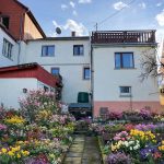 2 Gartenseite der Liegenschaft