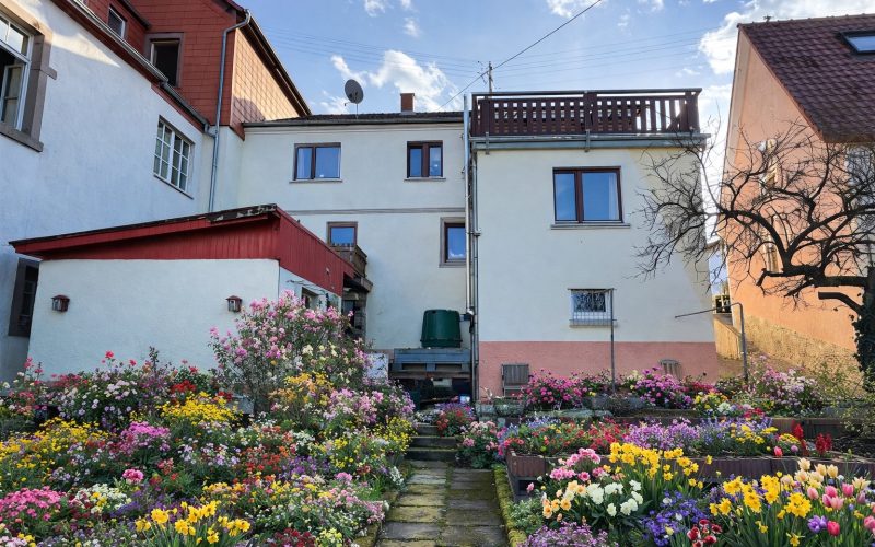 2 Gartenseite der Liegenschaft