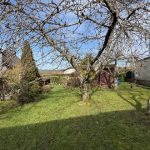 Ausschnitt vom Grundstück auf der Rückseite des Areals