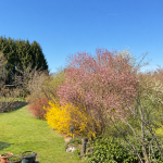 Ausblick zum Areal
