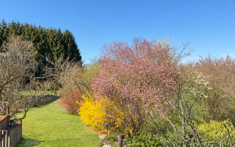 Ausblick zum Areal