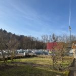 6 Ausschnitt vom Garten