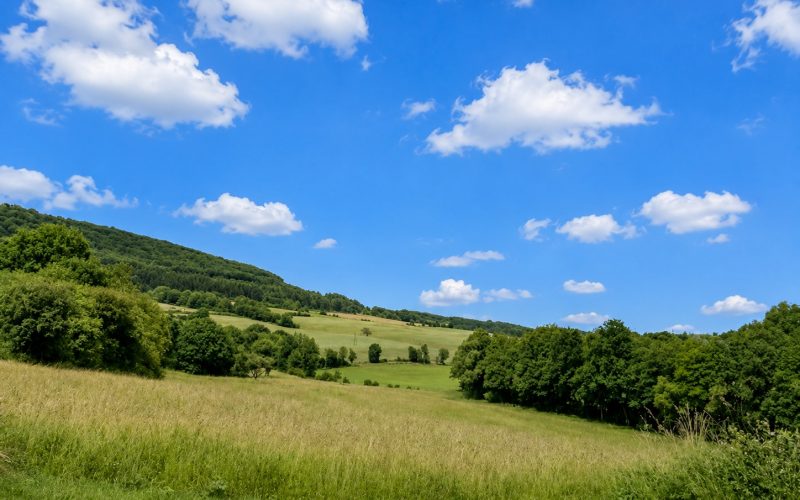 Ihr Ausblick vom Grundstück