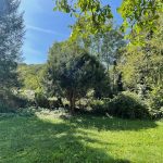inmitten der Natur