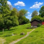 29 Blick zur Wiese mit Gartanhäuschen