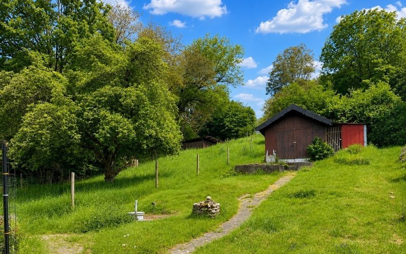 29 Blick zur Wiese mit Gartanhäuschen