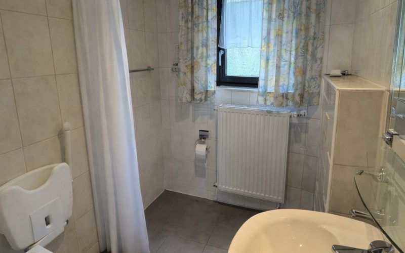 9 Duschbadezimmer im EG