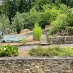 Ausschnitt von Ihrem Garten