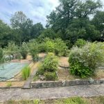 Ausschnitt von Ihrem Garten