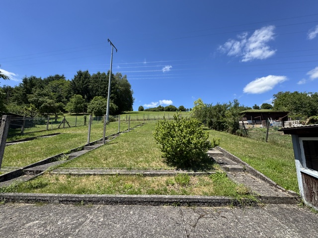 Blick hinterm Haus zur Wiese