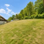 Wiese im nördlichen Grundstücksbereich