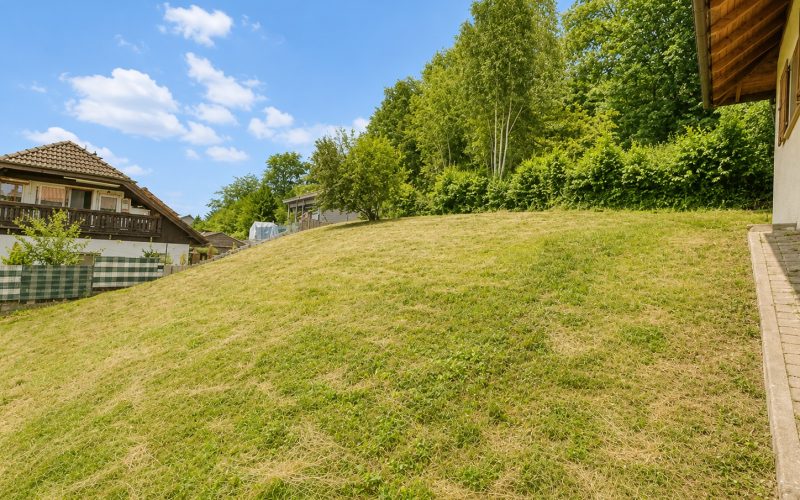 Wiese im nördlichen Grundstücksbereich